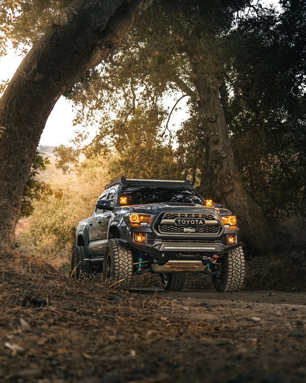 2016-2023 Tacoma Special Edition Headlights - 22ProTaco | headlights | Desert Wolf Retrofits