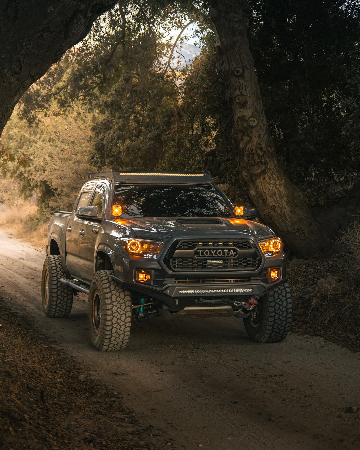 2016-2023 Tacoma Special Edition Headlights - 22ProTaco | headlights | Desert Wolf Retrofits