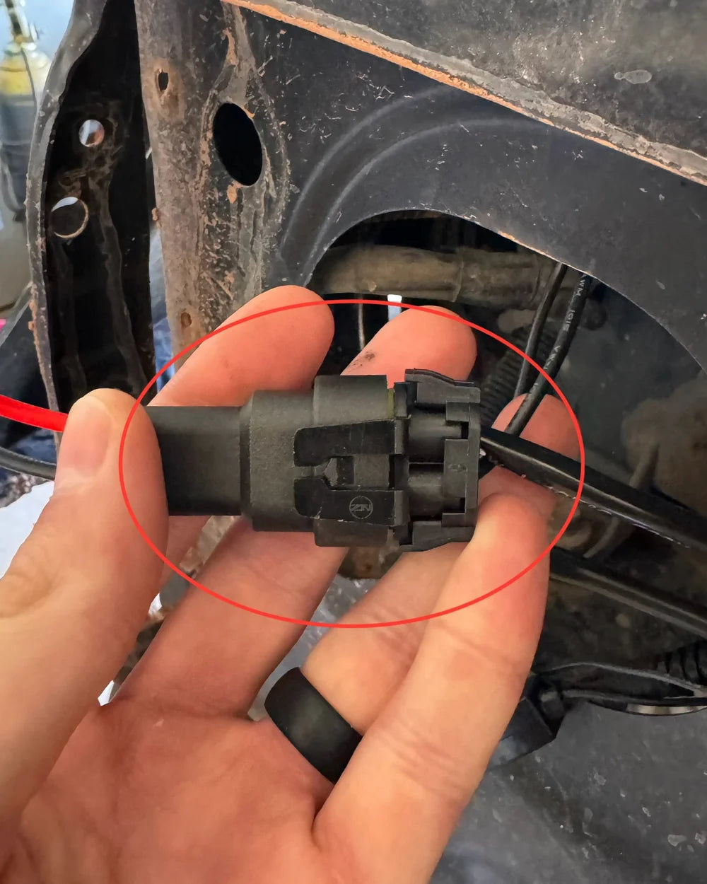 Connecting the projector plugs