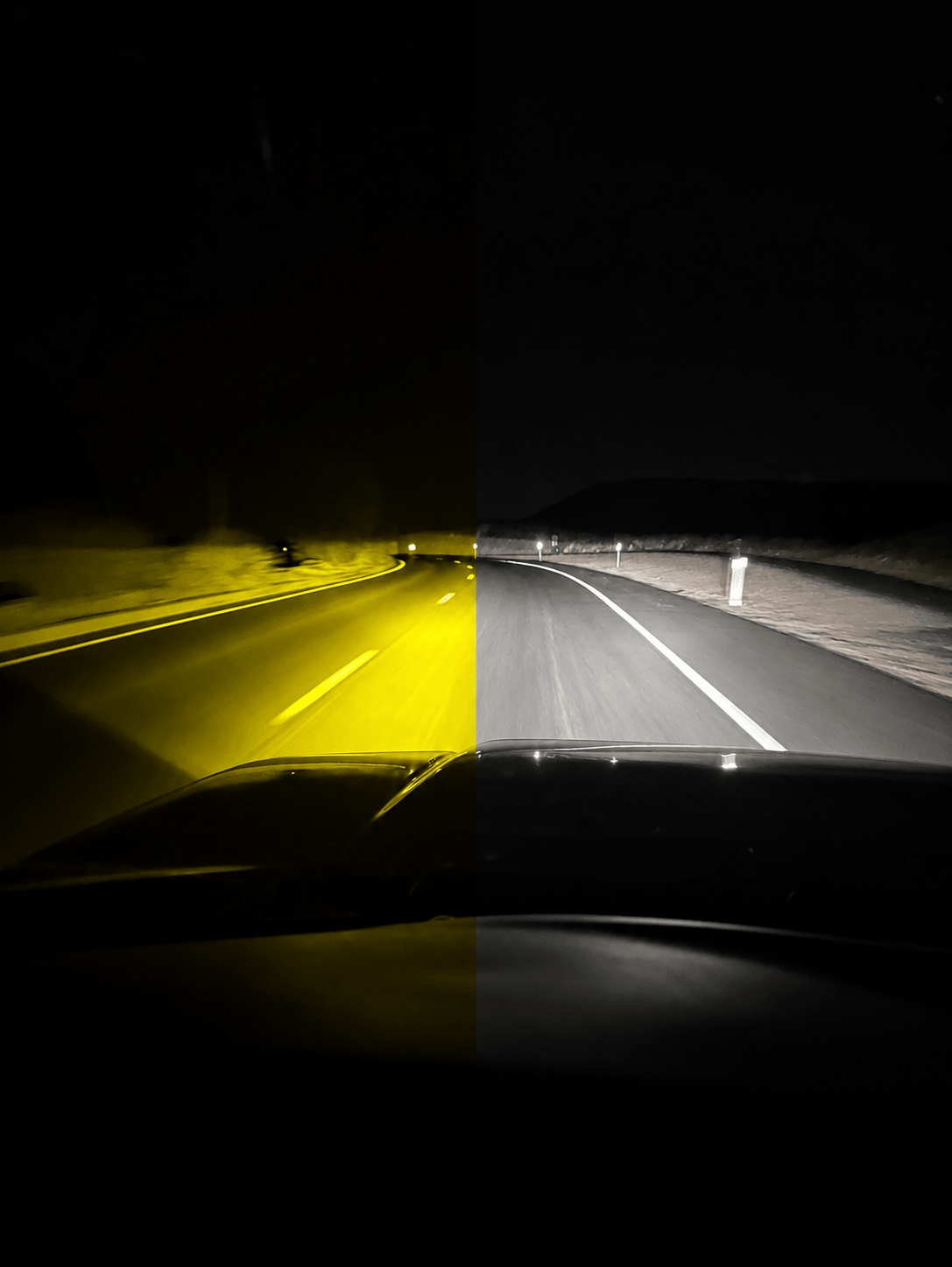 Yellow vs. White Fog Lights: Which Should You Choose? - Desert Wolf Retrofits