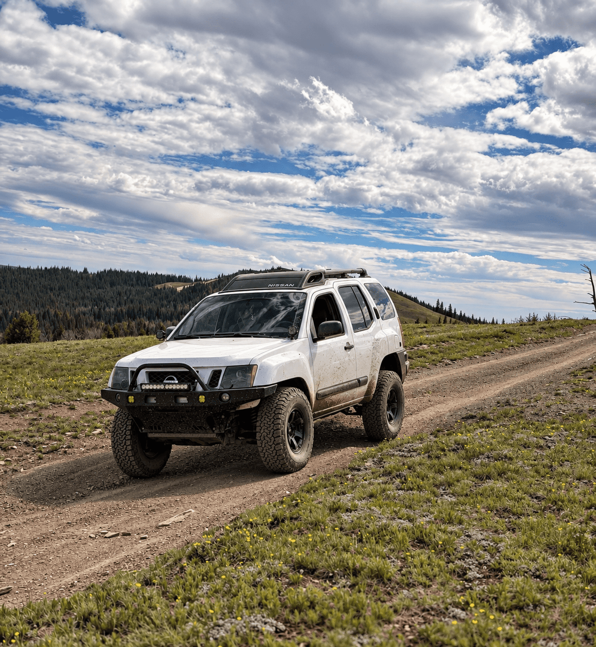 Nissan XTerra - Desert Wolf Retrofits