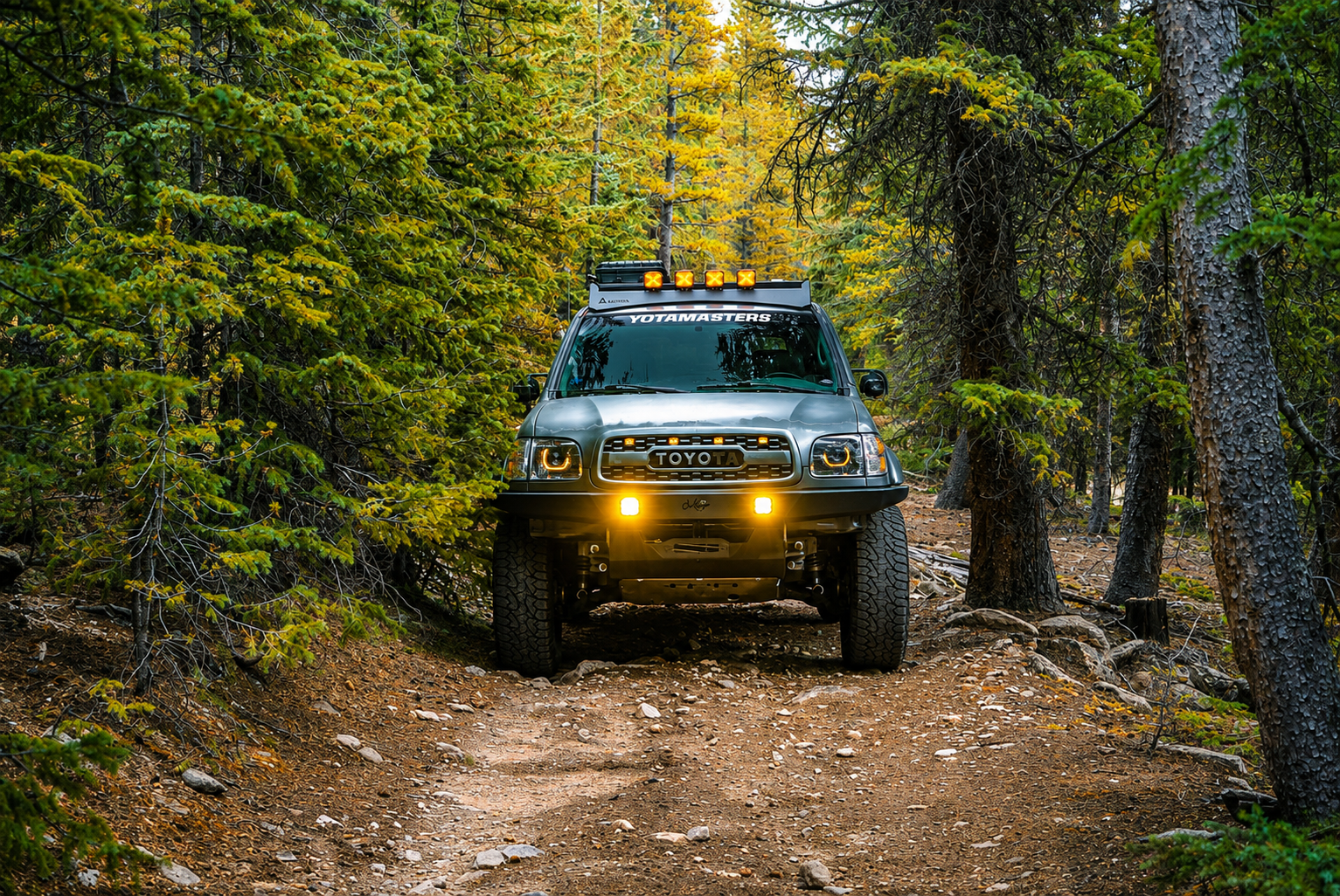 2001-2004 Toyota Sequoia | | Desert Wolf Retrofits