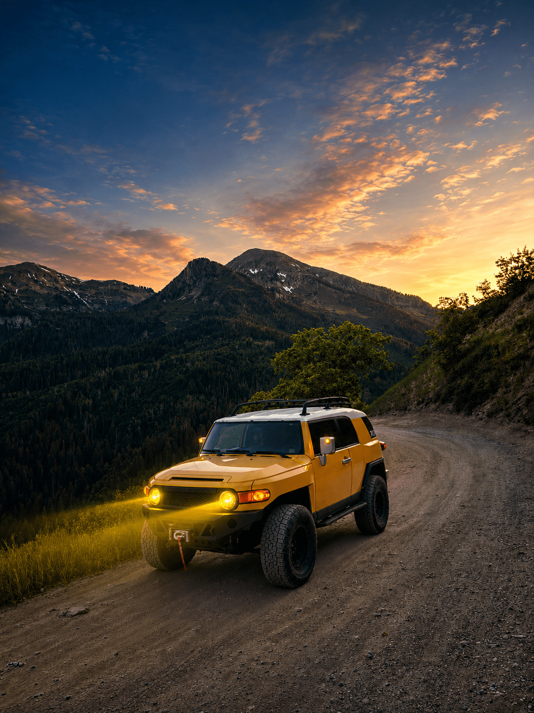 2007-2014 Toyota FJ Cruiser | | Desert Wolf Retrofits