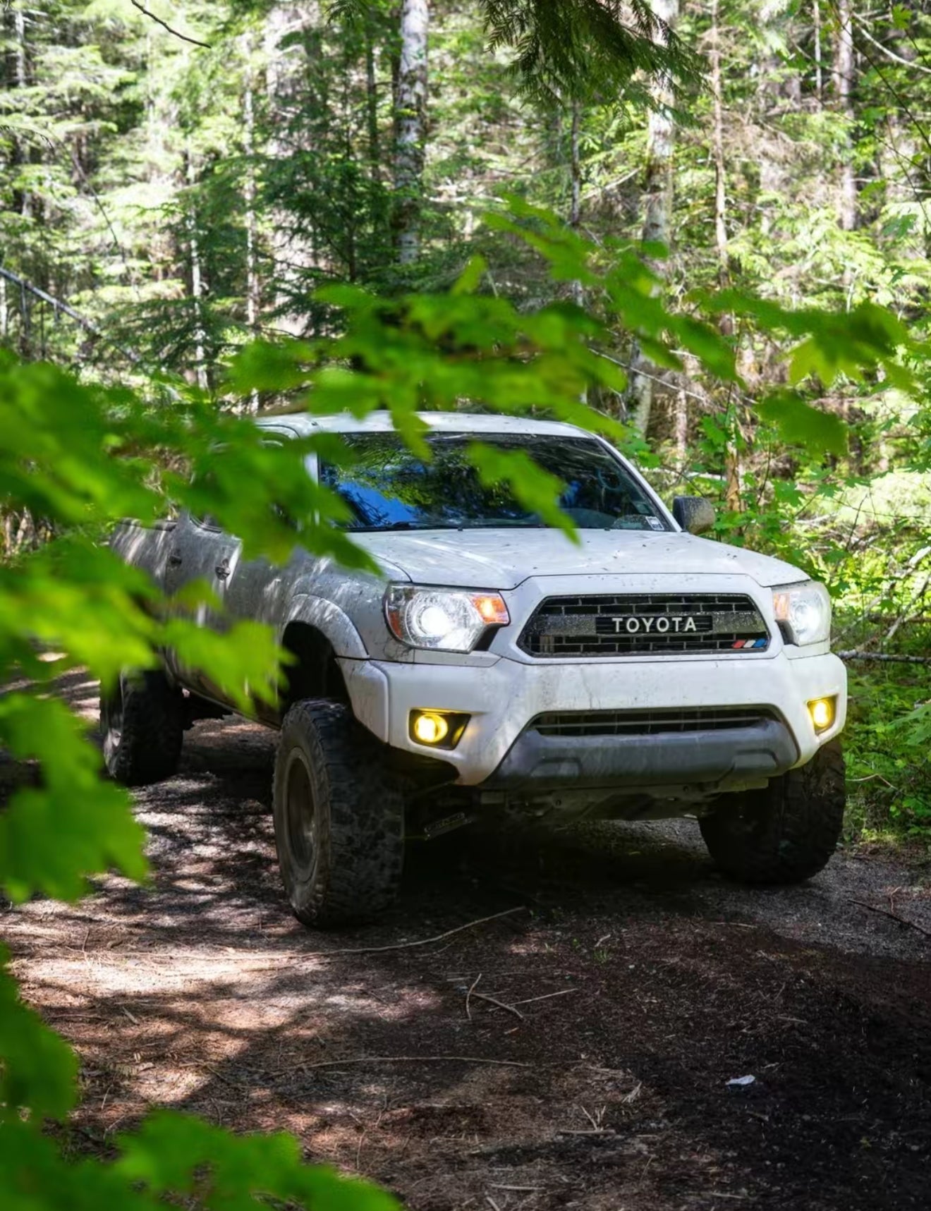 2012-2015 Toyota Tacoma | | Desert Wolf Retrofits