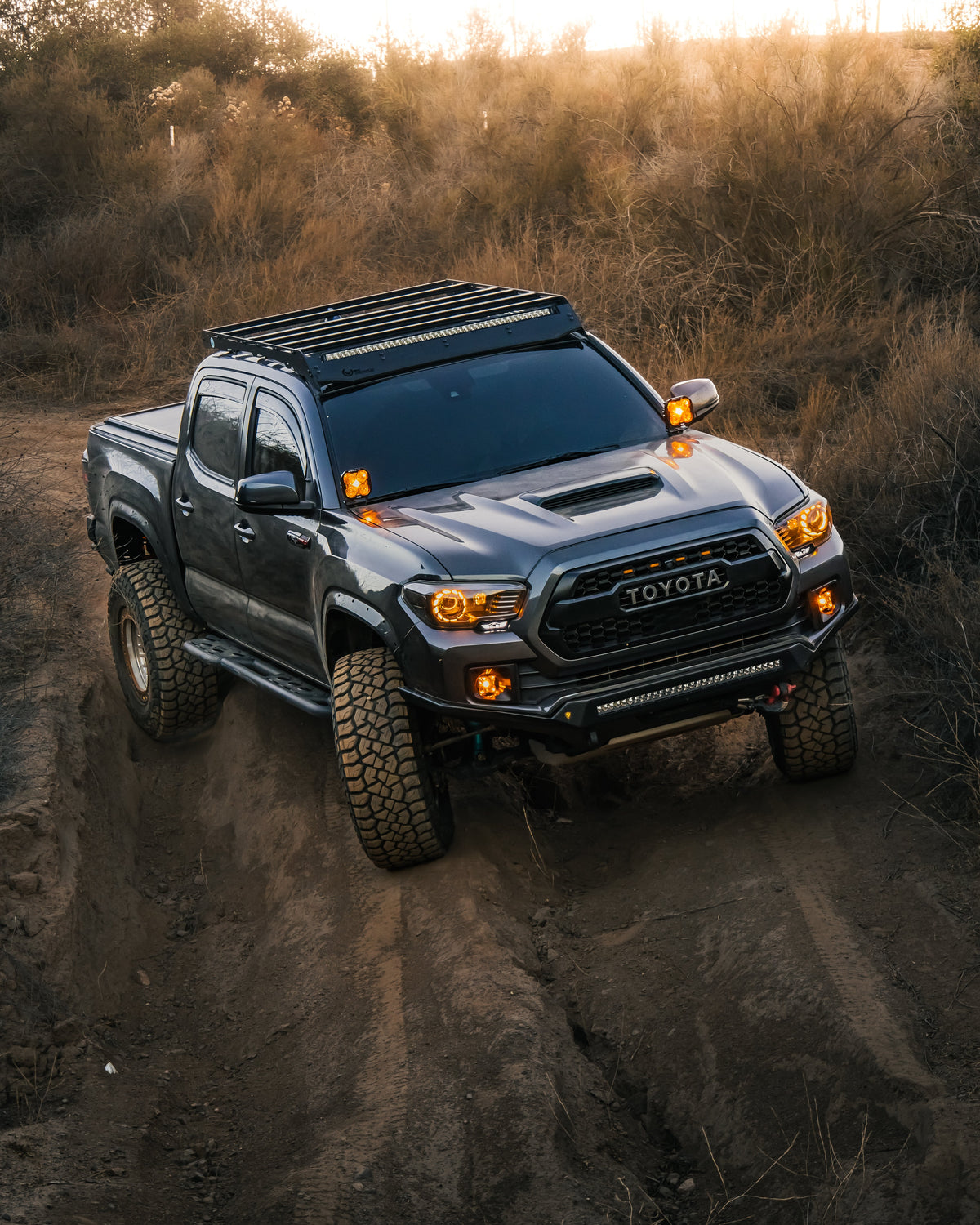 2016-2023 Tacoma Special Edition Headlights - 22ProTaco | headlights | Desert Wolf Retrofits